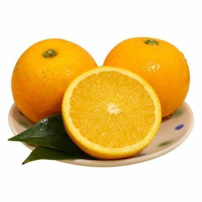 秭归县麻阳冰糖橙  脐橙