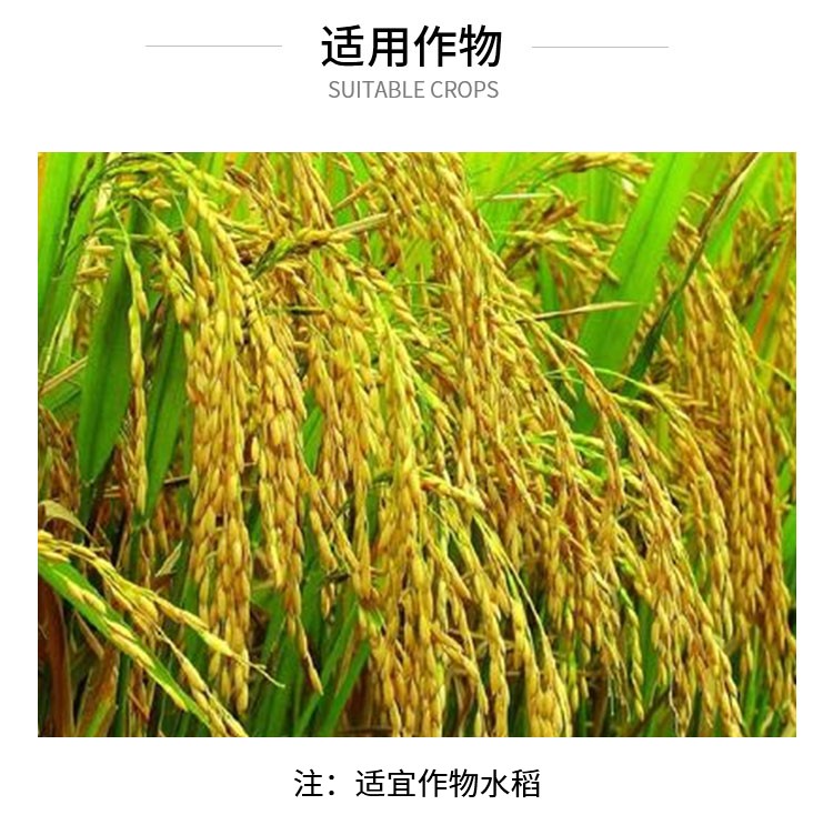 济南中科(1.8阿维菌素1000毫升/瓶)