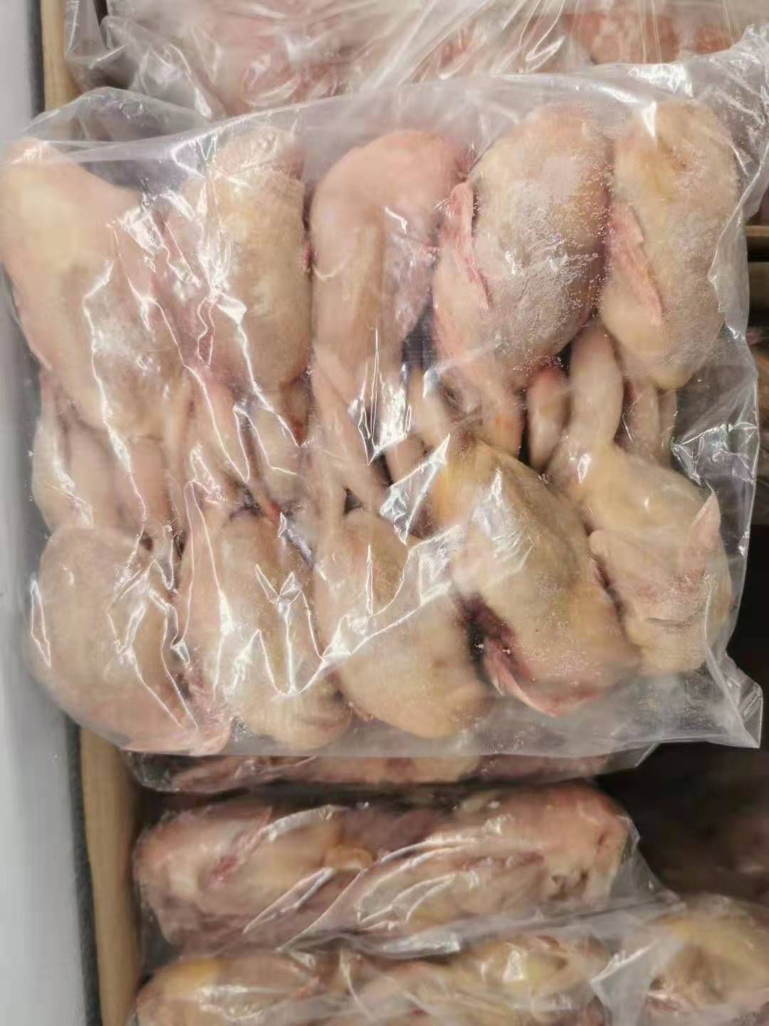 白羽王鸽肉 冷冻