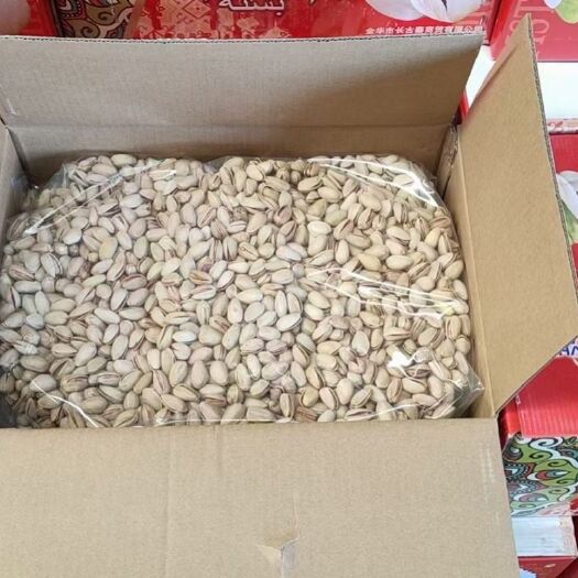 义乌市 伊朗开心果大长果