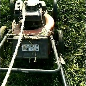 曹县麦冬草 现挖麦冬苗基地直销中，欢迎新老顾客前来选购。有专业的团队