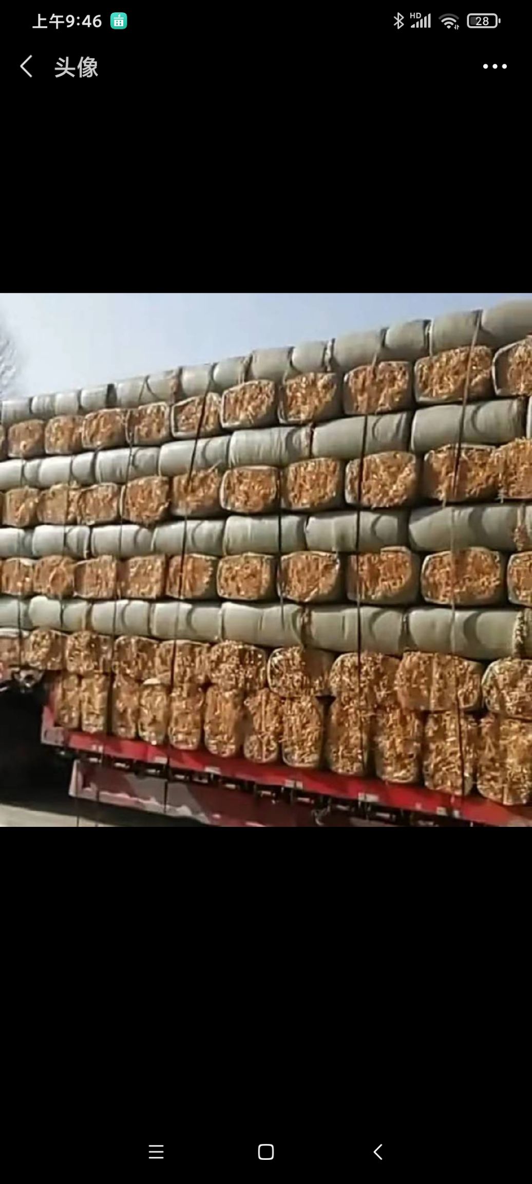 小麦秸秆  优质小麦草 小麦草秸秆