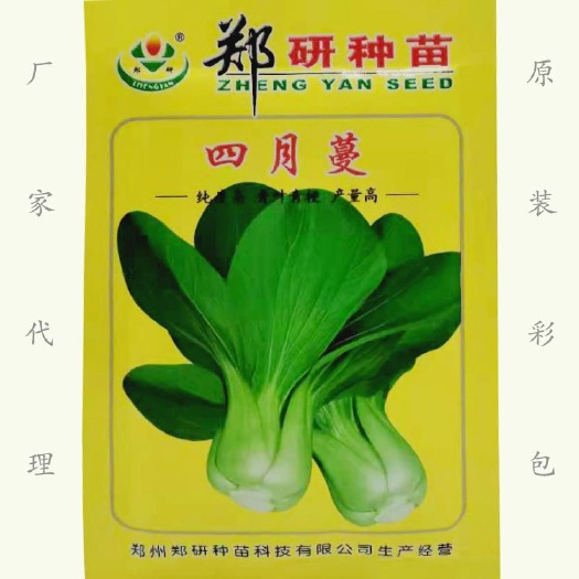 湘乡市上海青种子  上海青白菜种子 青梗青叶不结球四月慢菜种子 耐寒耐热50克