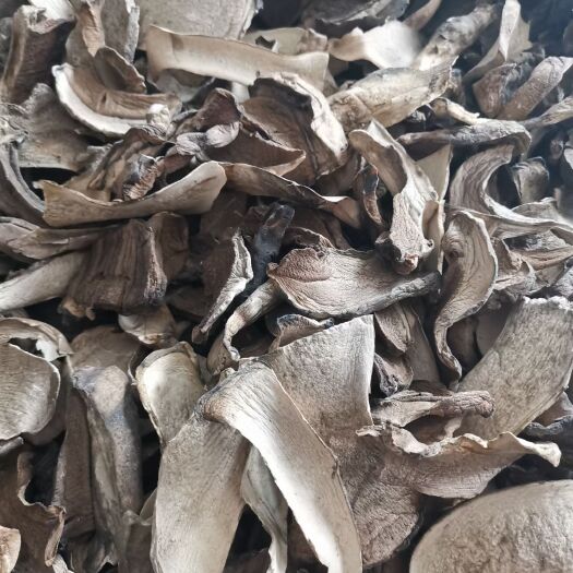 香河县 新疆特产牛肝菌蘑菇干纯自然光晾晒 需要的朋友可以联系我