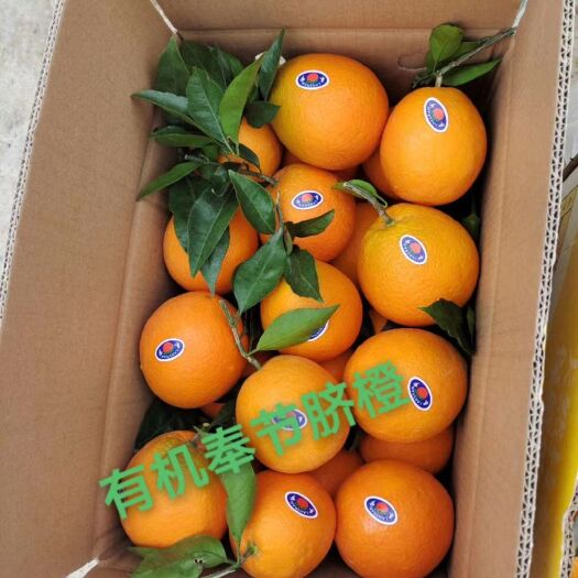 奉节奉节脐橙 奉节特产。含多种维生素。特别多维C。适合大众人群