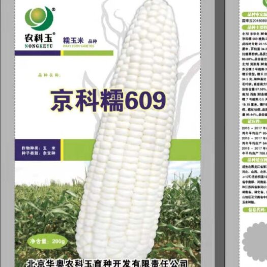 玉米种子 常规种 ≥85% 