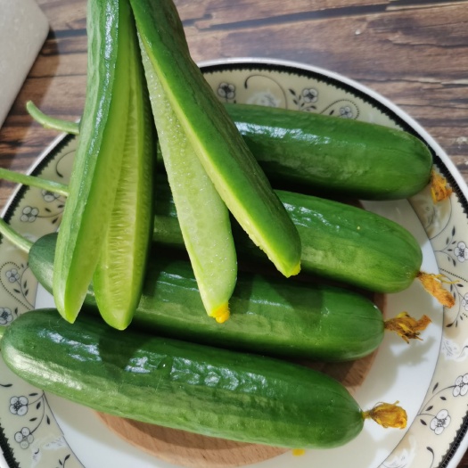 寿光市水果黄瓜  自家种植，现摘现发，清脆可口，佳品，