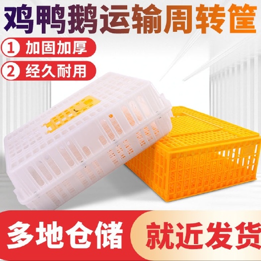 东阳市鸡笼周转箱家用大号加厚防摔养殖运输塑料鸡鸭鹅兔笼
