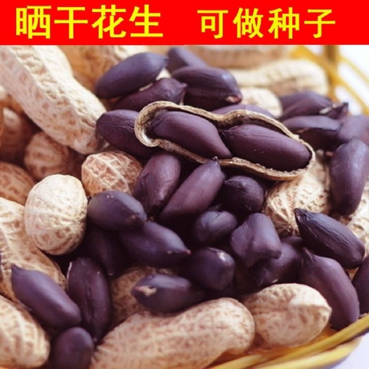 2024新黑花生种子富硒带壳黑花生 自然晒干花生种子