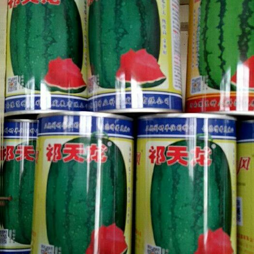 开封鑫汴粱西瓜种子 祁天龙西瓜种子，龙卷风类型，大果，抗病，高产，鑫汴粱推广