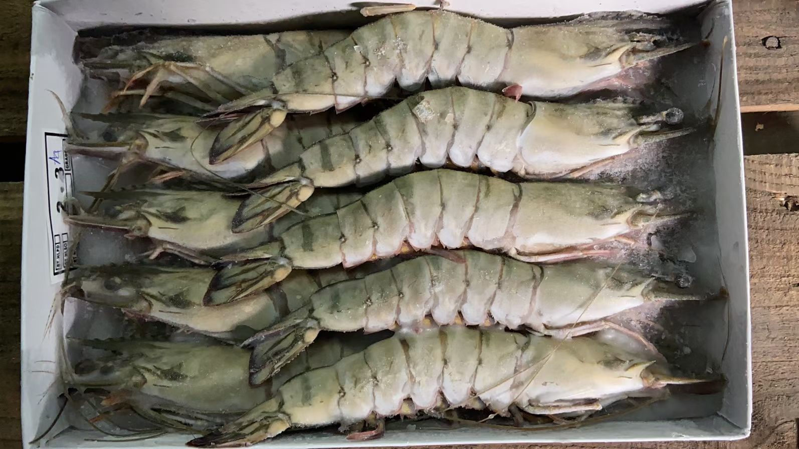生冻黑虎虾全规格，550克/盒，一件10盒，上海现货