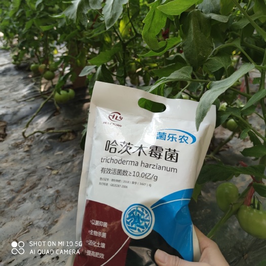 诸城市哈茨木霉菌微生物菌肥改良土壤防病抗重茬土传病害50g
