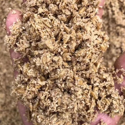 武汉雪花啤酒厂。新鲜啤酒糟。脱水啤酒糟大量出售。支持全国发货。