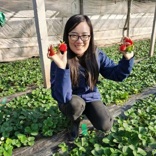 诸城市哈茨木霉菌微生物菌肥改良土壤根腐病土传害灰霉霜霉白粉病1kg