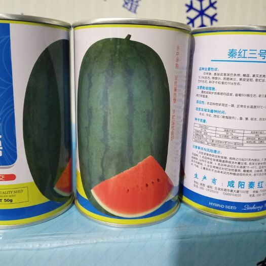 开封西瓜种子 秦红三号，龙卷风，好甜的西瓜