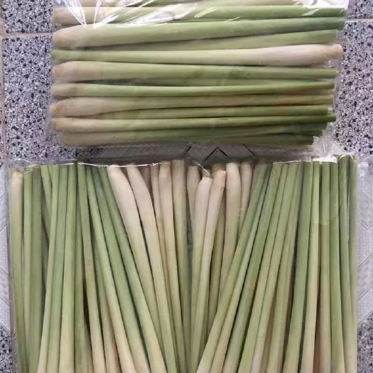 凭祥市越南香茅草柠檬草