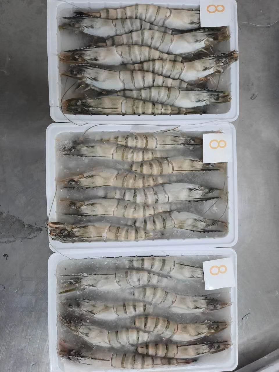 烟台老虎虾 越南黑虎虾全规格