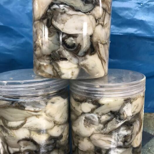 烟台牡蛎  乳山肥蚝
