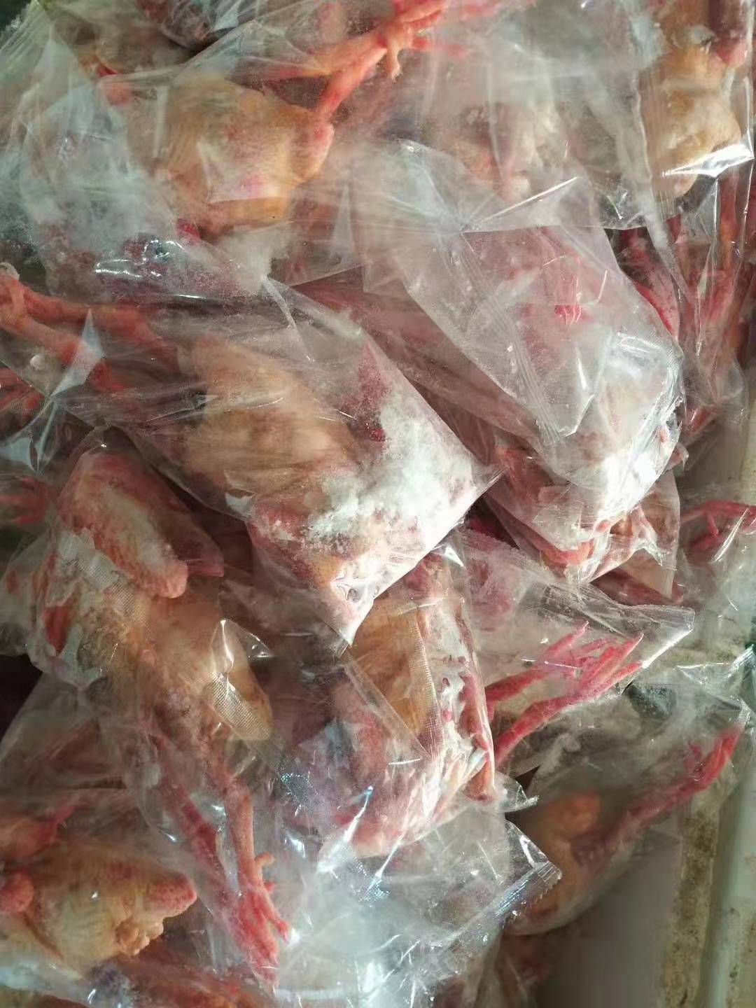 白羽王鸽肉 冷冻
