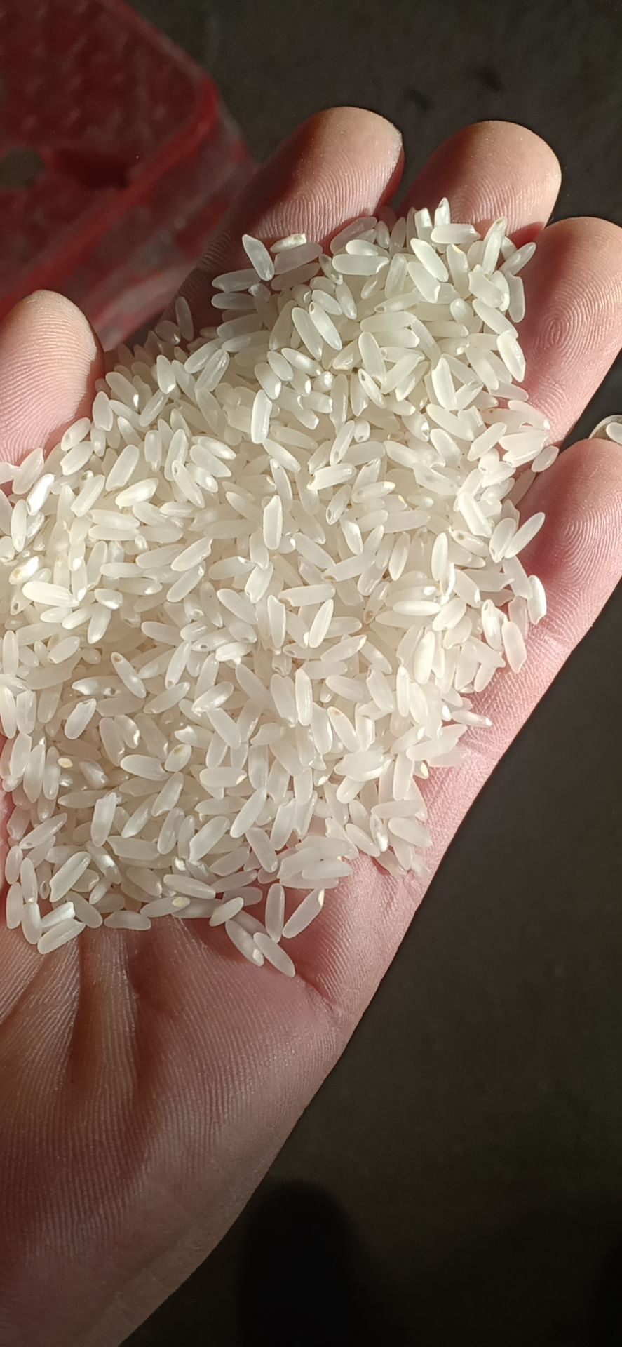 龙阳16大米 新米，三遍色选