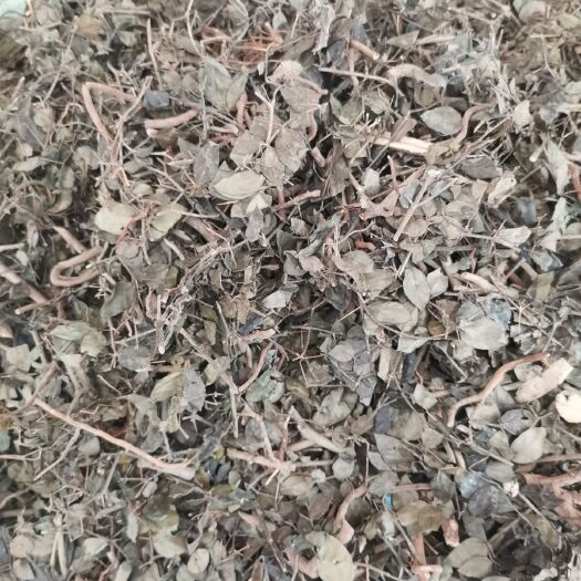 玉林中药材，绣花针，货原充足，量大从优