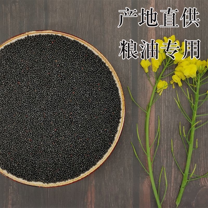 油菜籽 观赏性油菜花籽可食用可榨油