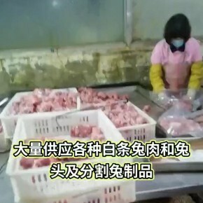 嘉祥县新鲜兔肉白条和兔头兔腿兔里脊等兔肉分割产品