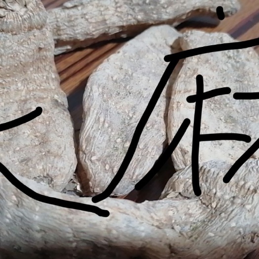 洛南县天麻 天麻