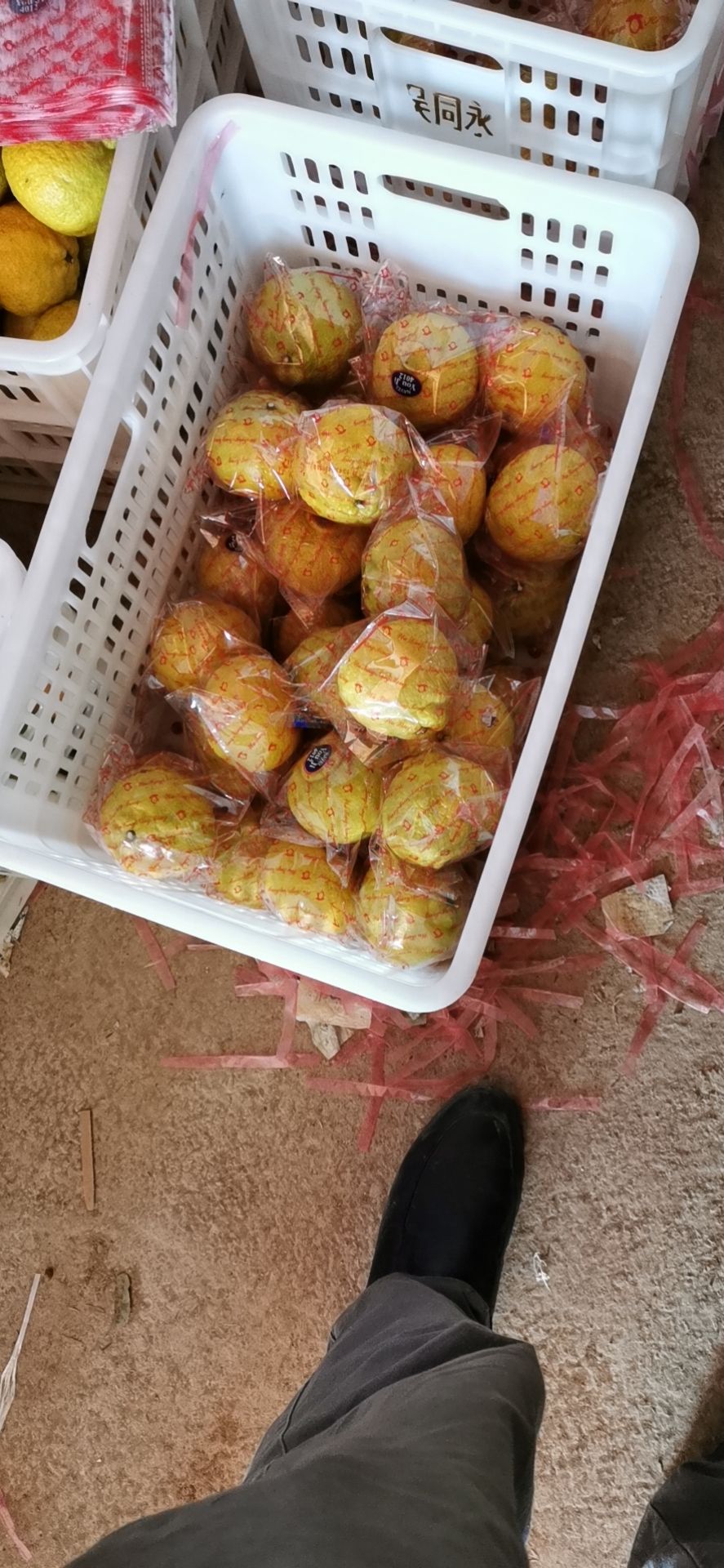春香中含量丰厚的维生素C、P，能增加机体抵御力。