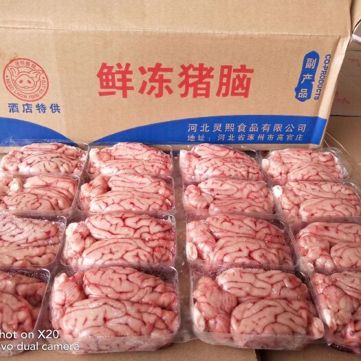 成都海霸王批发新鲜冷冻猪脑生鲜猪脑花猪小脑生猪脑子商用火锅烧烤脑