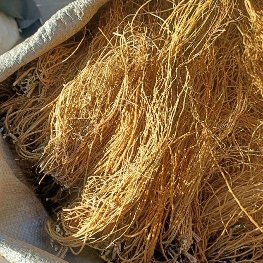 凤庆县坚龙胆  云南滇龙胆。产地直销