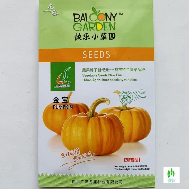 沭阳县迷你小南瓜种子  板栗绿贝贝小奶油香芋甜巨型南瓜砍瓜种籽特大