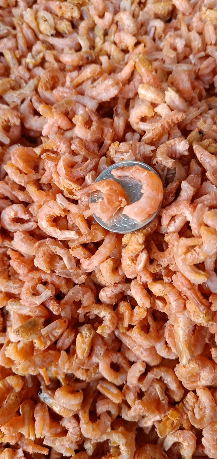 金钩海米  虾仁  加工户自产自销  无差价