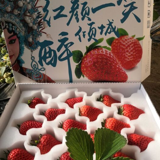 北京红颜草莓 一级果