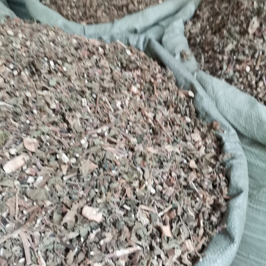 藿香  中药材，霍香，货原充足，大量供应。
