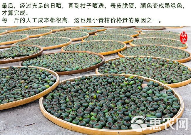 青皮新会小青柑普洱茶陈皮宫廷普洱柑普茶橘子茶桔普茶半斤一斤装