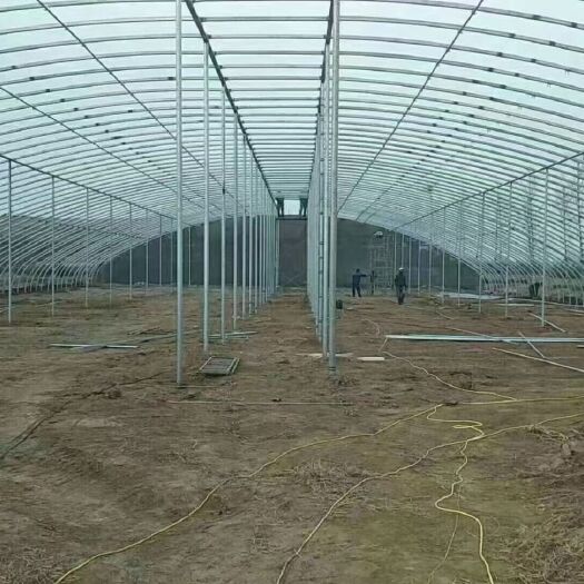 天津种植大棚  专业生产大棚类产品，冷棚暖棚预算设计，大棚钢管，大棚配件。