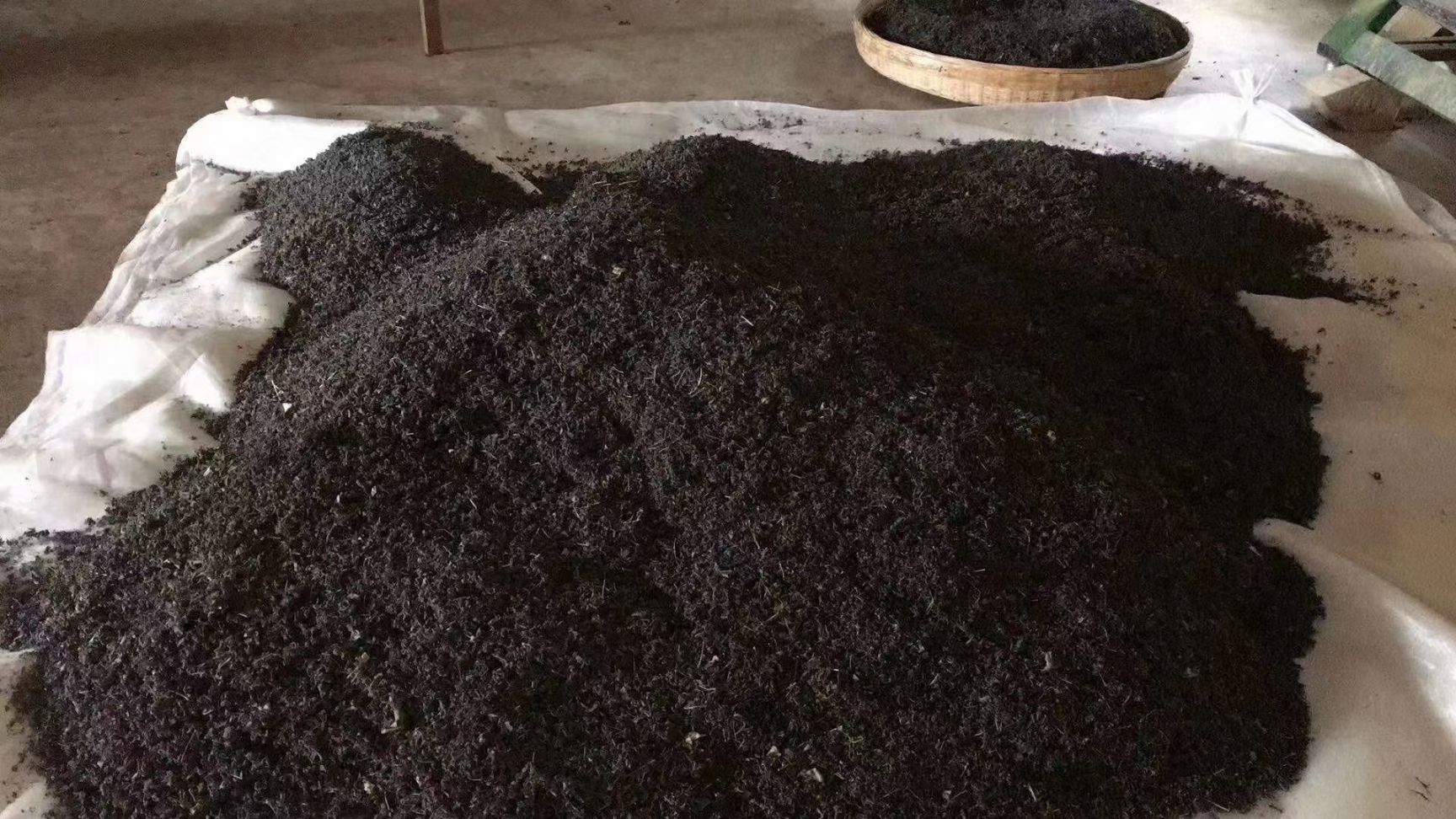 炒青茶  2020新茶揭西大洋炒茶叶潮汕高山八乡云雾绿茶揭阳坪上浓香型