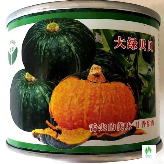 沭阳县贝贝南瓜种子 板栗绿贝贝小奶油香芋甜巨型南瓜砍瓜种籽特大四季
