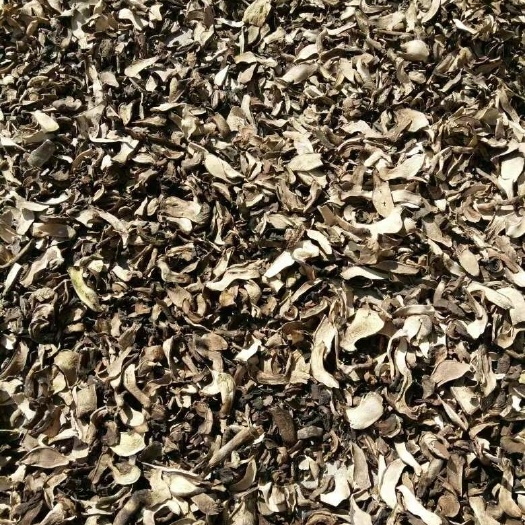 北京普通牛肝菌 自然光晾晒 绿色食品 牛肝菌 营养美味