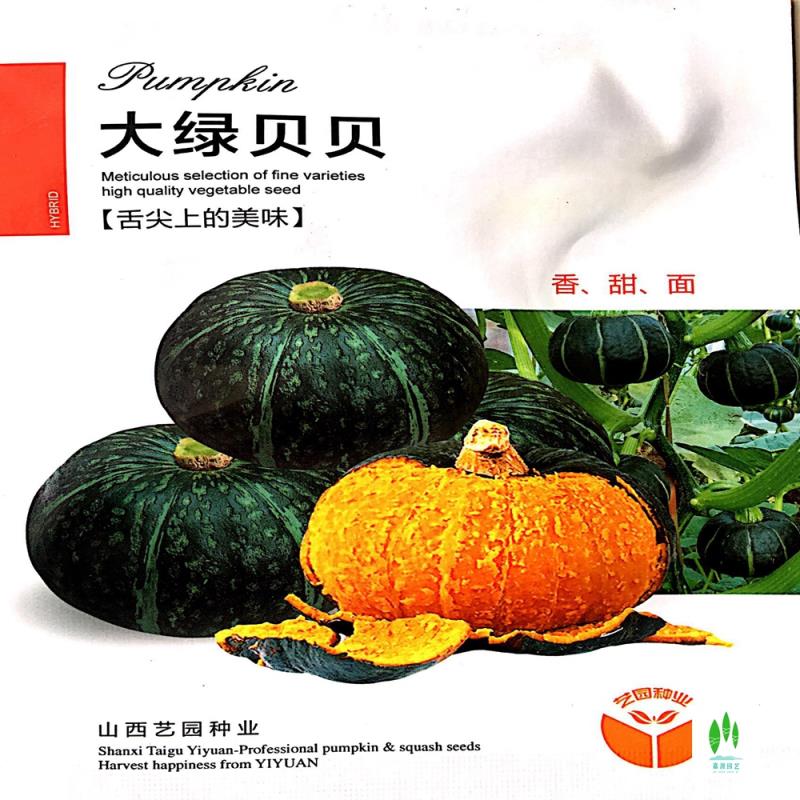 沭阳县贝贝南瓜种子 板栗绿贝贝小奶油香芋甜巨型南瓜砍瓜种籽特大四季
