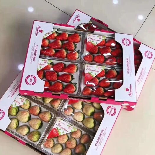 东港市丹东草莓  丹东久久胶盒，有需要的联系我