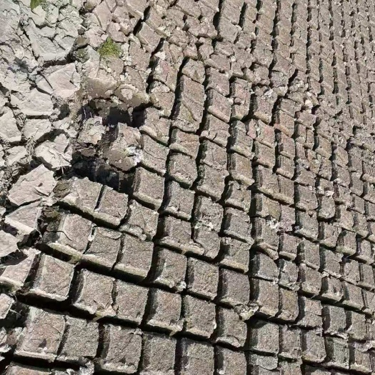  塘泥，园林绿化工程用土，庭院别墅绿化用土，橘场煤渣种植土
