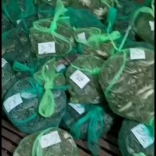 生态大闸蟹  批发大闸蟹，各种规格齐全