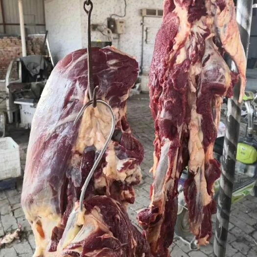 烟台牛肉驴肉烟台莱山牟平批发