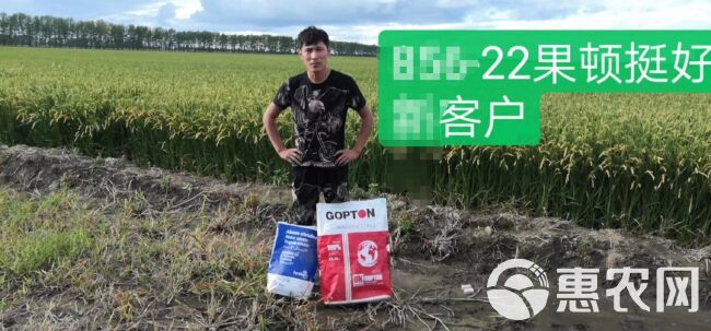 大量元素肥料 水溶肥 膨果增甜上色 果蔬专用肥