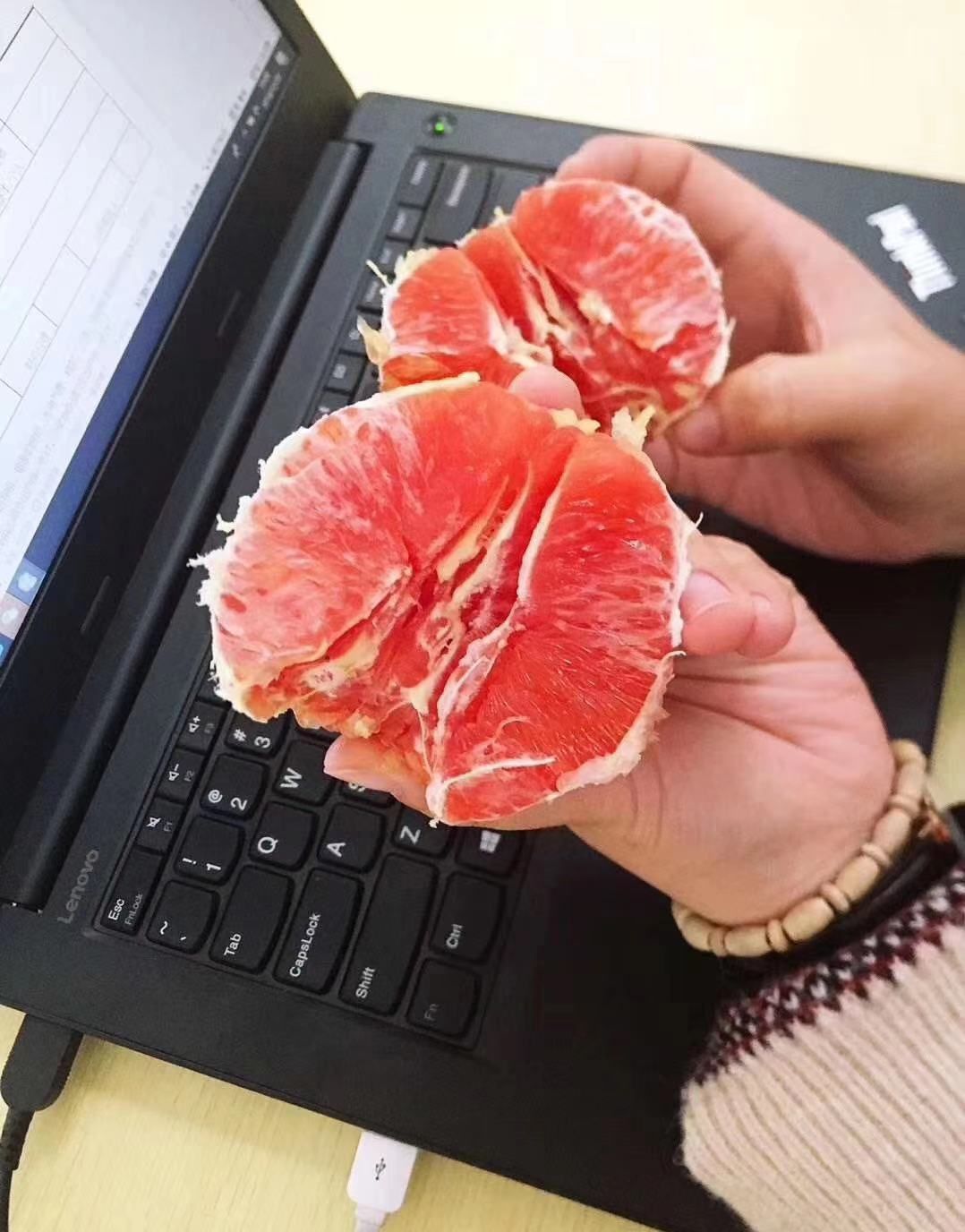 塔罗科血橙  资中血橙 果园现摘现发，支持一件代发