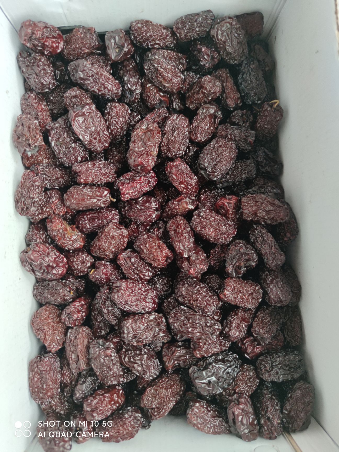 紫晶枣  乌枣 西山焦枣，枣脯