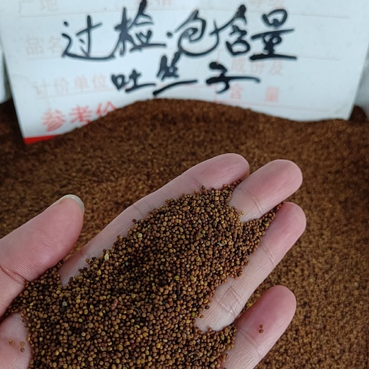 玉林干货菟丝子别名.吐丝子价格优美品质好量大从优