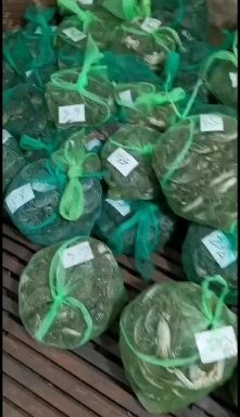 生态大闸蟹 批发宝应大闸蟹